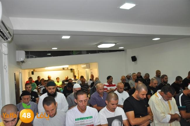 tarawee7 fateh mosqueeq (2).JPG